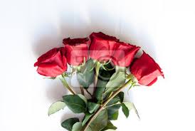 Il mazzo verrà consegnato dal fiorista personalmente al destinatario. Mazzo Di Rose Rosse Fototapete Fototapeten Stieg Topf Valentine Myloview De