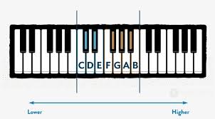 Using the piano keyboard diagram you can now label the rest of the white notes by counting up the alphabet. 3 Octave Keyboard Diagram With White Piano Notes Labelled 3 Octave Of Piano Png Image Transparent Png Free Download On Seekpng