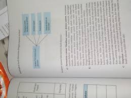 Sebutkan Dan Jelaskan Struktur Teks Laporan Hasil Observasi Brainly Co Id