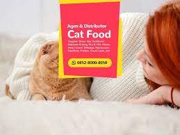 Terlengkap Wa 0852 8000 8050 Grosir Cat Food Jakarta Makanan Kucing Kucing Makanan