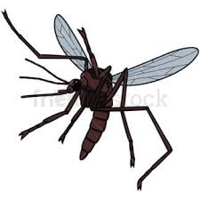 Vermin Clipart Cartoon Vector Images Friendlystock Popular cartoon mosquito of good quality and at affordable prices you can buy on aliexpress. vermin clipart cartoon vector images