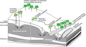 We apologize for the inconvenience, but you may be able to find it instead through your library resources. Groundwater Dependent Ecosystems Classification Identification Techniques And Threats Springerlink