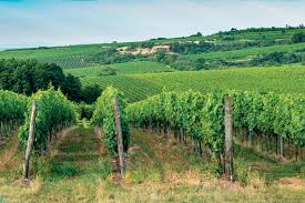 Kam na výlet v jihomoravském a zlínském kraji? Jizni Morava