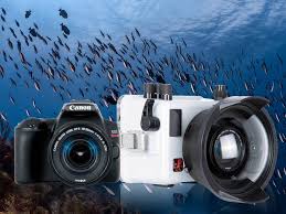 First Look Canon Eos Rebel Sl3 250d Underwater Housing Ikelite