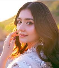 Mehreen Jamal's Instagram, Twitter & Facebook