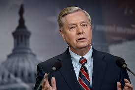 Image result for Lindsey graham