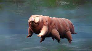 Tiny creatures called tardigrades about 1mm long. How Long Do Tardigrades Live Live Science