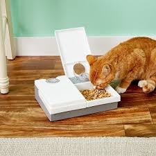 If you have more than one cat like us, you'll understand it can be tricky to organize their meal times. 10 Best Automatic Cat Feeders 2021 Reviews Top Picks Pet Keen