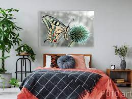 Details zu bild schlafzimmer leinwand veröffentlicht wurde, von draxler maria und tagged in schlafzimmer, schlafzimmer ideen, schlafzimmer deko. Schlafzimmer Mit Foto Des Schmetterlinges Auf Leinwand