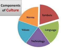 Video For A Class Norms And Values Components Language