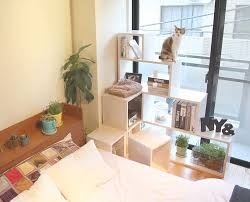 猫家具ニャンドはベッドと窓の隙間にもぴったりフィット 窓際に遊んだりくつろいだりする場所ができて 猫ちゃんも大満足 使用家具 ny ニャンド root shelf ホワイト nyand 猫家具ニャンド 猫家具 プチリノベ家具 猫 ねこ neko home decor loft