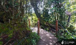 Guest can enjoy 4x4 transport services with reasonable price. Cameron Highlands Malaysia Eine Teeplantagen Mossy Forest Tour