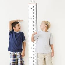 Growth Charts Hanging Rulers Talltape Portable Roll Up Hang