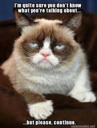 40 Funny Grumpy Cat Memes Funny Grumpy Cat Memes Grumpy Cat Grumpy Cat Humor