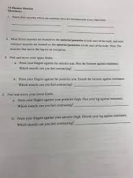 Related posts of body muscles with names muscle anatomy practice exam. 11 Human Muscles Questions 1 Name Four Muscles Chegg Com