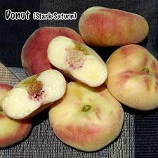 Saturn was introduced in 1997 by the famous east malling research station in kent, england. Stark Saturn Peach Tree Semi Dwarf Grow Organic