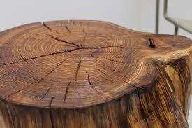 Tree Trunk End Table By Realwoodworks1 On Etsy Trunk End Table End Tables Tree Stump Table