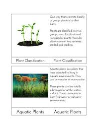 Maybe you would like to learn more about one of these? Types Of Plants Montessori Three Part Cards Etsy Plants Plant Classification Vascular Plant