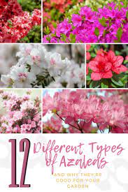 Pin On Garden Style Indoors And Outdoors