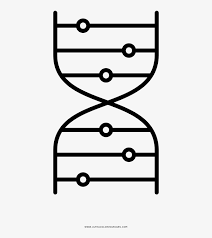 Some of the worksheets displayed are dna, activity a 3 synthetic biology coloring, asqteacher 200714 1753 2, km 754e 20151221092331. Dna Helix Coloring Page Drawing Free Transparent Png Download Pngkey