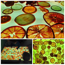 Beautiful Light Table Exploration With Dried Fruits Credit Edita Slunjski Zagreb Croatia V Reggio Inspired Classrooms Reggio Emilia Reggio Emilia Classroom
