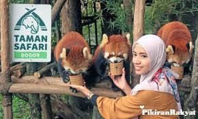 Warung ini buka jam 16.30 dan tidak boleh lebih dari jam 19.00 karena biasanya sudah habis saking lakunya.setiap. Lagi Di Kota Hujan Berikut Destinasi Wisata Di Bogor Yang Buka Saat Psbb Proporsional Jurnal Sumsel