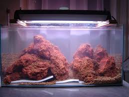 Image Result For Lava Rock Aquascape Cool Fish Aquascape Lava Rock