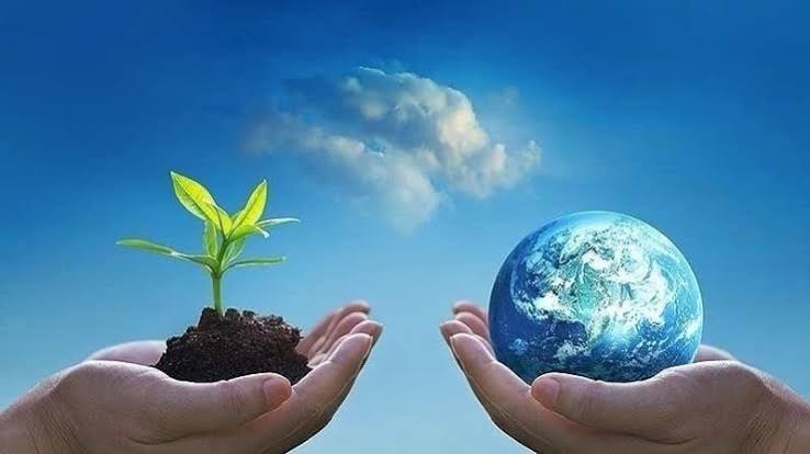 Create a Clean and Supporting Environment