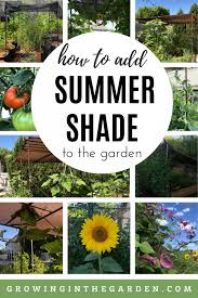A simple diy on how to build your own shade cloth canopy to protect veggies from too much heat and sun. How To Create Shade In The Garden Growing In The Garden