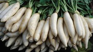 We did not find results for: 18 Unique And Healthy Vegetables