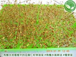 auf der kippe 1997 filme kino