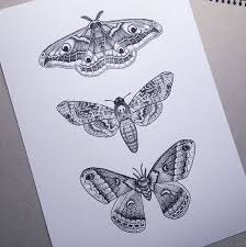 Pin By Cindy Nunez On Drawing Moth Tattoo Design Moth Tattoo Tattoos