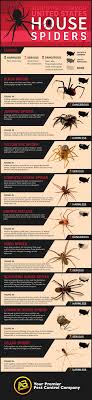 identifying common u s house spiders ab pest control utah