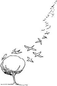 Pencil Bird In Flight Drawing Birds Flying Drawing Google Search Fly Drawing Pencil Drawings Of Flowers Bird Drawings