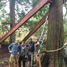 Tbt To The Beam Lift At Mike And Monica S Treehouse In The Woods Above Fall City Beinatree Lovemyguys Treehouse Masters Tree House Fall City