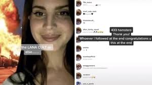 Let's be the biggest gang in the world not just on tiktok! What Are The Hamster Cult And The Lana Del Rey Cult On Tiktok