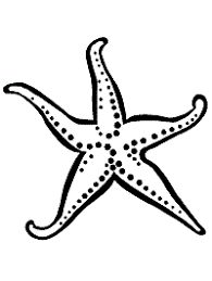Let's all sing twinkle, twinkle, little star, how i wonder what you are! Twinkle Twinkle Little Star Coloring Pages And Printable Activities Nursery Rhyme