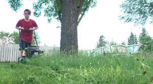 Please call or text to get one time, montly or seasonal quote. Edmonton Residents Come Together To Mow City Owned Grass Edmonton Globalnews Ca