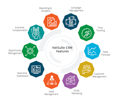 Netsuite erp is a software which gives you real time visibility and helps you get control over your netsuite erp in it's earlier days was also known as oracle small business suite but later named as. Netsuite Crm Customer List Customer Base