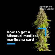 Under michigan law marijuana is listed as a schedule i controlled substance. Mo Medical Marijuana From Applications To Conditions What To Know