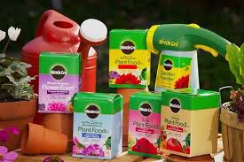 Topsearch.co has been visited by 1m+ users in the past month Miracle Gro Fertilizer Gardening Review Does It Live Up To The Hype