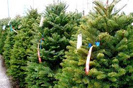 We did not find results for: U Cut Fresh Cut Christmas Trees Around The Sound Greater Seattle On The Cheap
