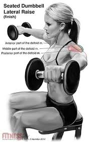 Each side deltoid exerciseworks the target muscles and supporting muscles slightly differently. Fitnessrx For Women Magazine Seated Dumbbell Lateral Raise Activate The Delt Muscles Of The Shoulder While Minimizing Injury Risk Read How To Do It Correctly Http Www Fitnessrxwomen Com Training Workout Tips Advice Seated Dumbbell Lateral