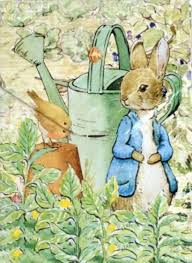 Peter Rabbit Wedding Inspiration Fly Away Bride Beatrix Potter Illustrations Beatrix Potter Peter Rabbit And Friends
