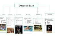 Distingue entre los sustantivos individuales y los colectivos. Deportes Base Y Caracteristicas Docsity