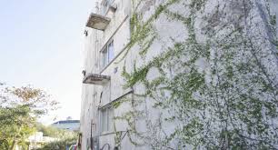 希望ヶ丘 沖縄 廃墟