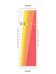 Adult Height Weight Chart Free Download