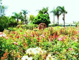 We did not find results for: Gawler River Roses Wholesale Nursery Locality List South Australia Use This Directory To Find Local South Australia Business