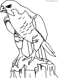 I decided not to draw the wing feathers as. Peregrine Falcon Coloring Page Coloringall