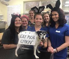 Chick-fil-A Port Charlotte